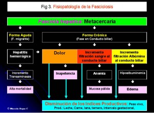 fig3