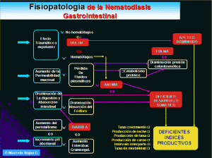 fisio2