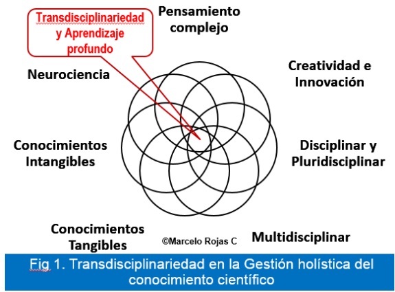 transdisciplinariedad_gestion_holistica